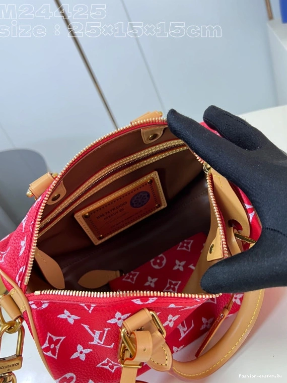 FS CHEAP 25 SPEEDY Louis Vuitton 0724